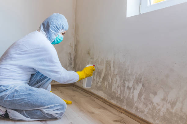 Hvac And Air Duct Mold Remediation inspection of HVAC system in Haslett